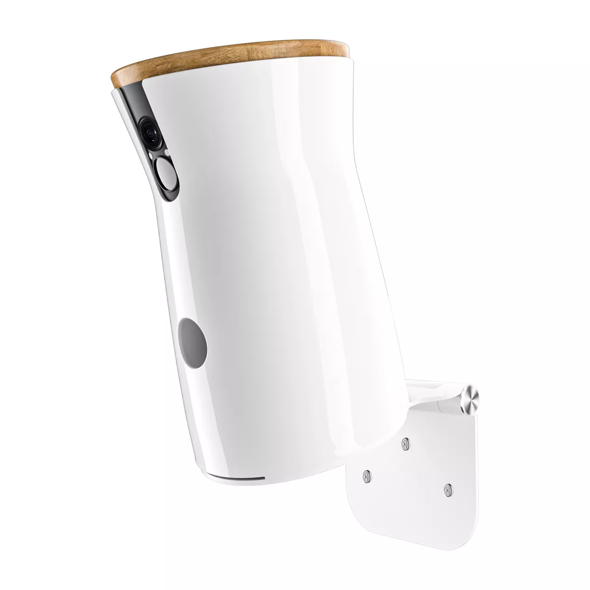 HOLACA Adjustment Wall Mount for Furbo Dog Camera Not for Furbo