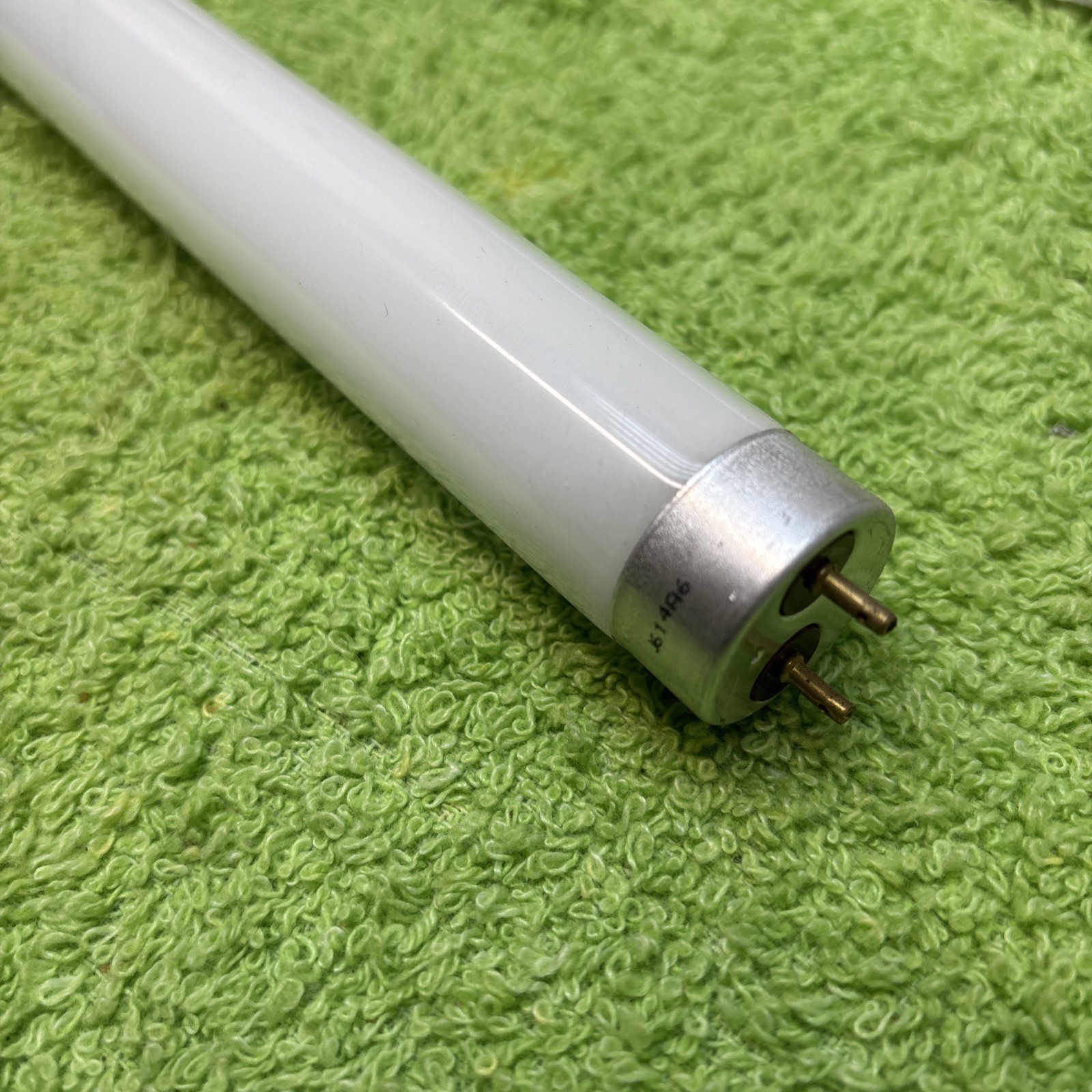 Lot of (3) Replacement EIKO F14T8/D BULBS new in foam