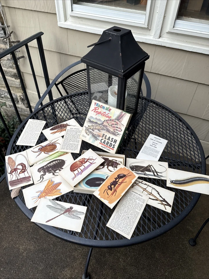 Teach Me Reptiles Flash Cards Vintage 1968 Set - 45 Karten