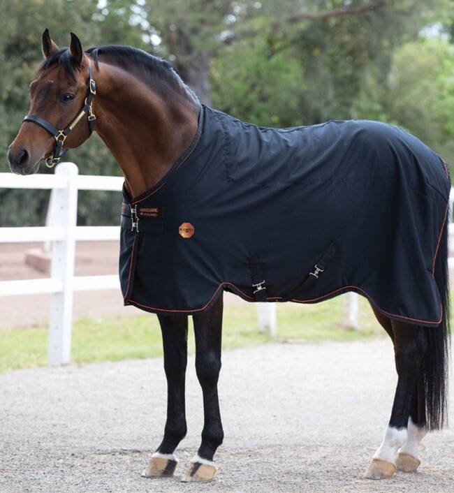 Tapis D'écurie Rambo Mini Thérapie Ionique 30" - Noir - Neuf Sans étiquette (Falabella/Shetland)