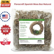 Floracraft Spanish Moss 8oz-Natural Excelsior Flower Arrangements Scenes Wall