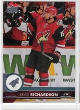 Brad Richardson 17-18 Upper Deck Series 2 Base Common #260 Arizona Coyotes
