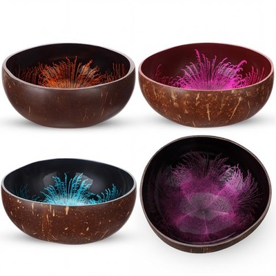 4 Pcs Decorative Coconut Bowl Natural Coconut Bowl Circular Handmade Mother o