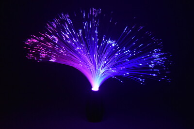 Multi Color Mode LED Fiber Light [14in] (batteries included) | eBay