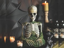 Animated Mossy Skeleton Halloween Prop Tabletop Decor Haunted House Centerpiece