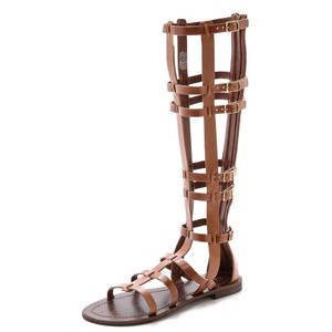 carvela gladiator sandals