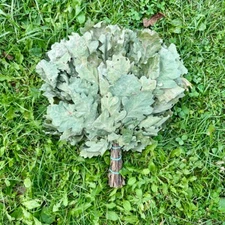 Set of 10 Sauna Oak Brooms Production Summer 2024, Oak Banya Premium Veniks