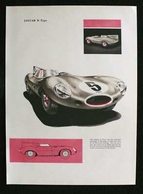 1955 JAGUAR D TYPE  9x12 Art Rendering Print LE MANS SEBRING TOURIST TROPHY