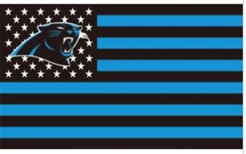 黑豹卡罗莱纳州横幅 3' x 5' 人洞旗完美比赛日球迷尾门 — 第 2/4 张图片