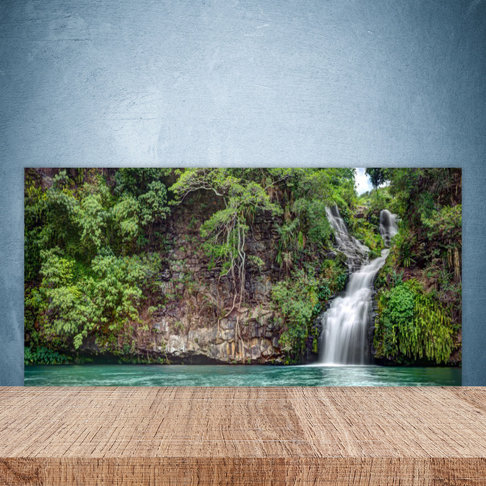 Crédence de cuisine en verre 100x50 panneau paroi fond de hotte cascade