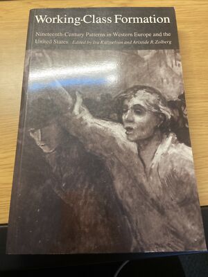 Working-Class Formation: 19th cen. Patterns in W Europe - Katznelson & Zolberg