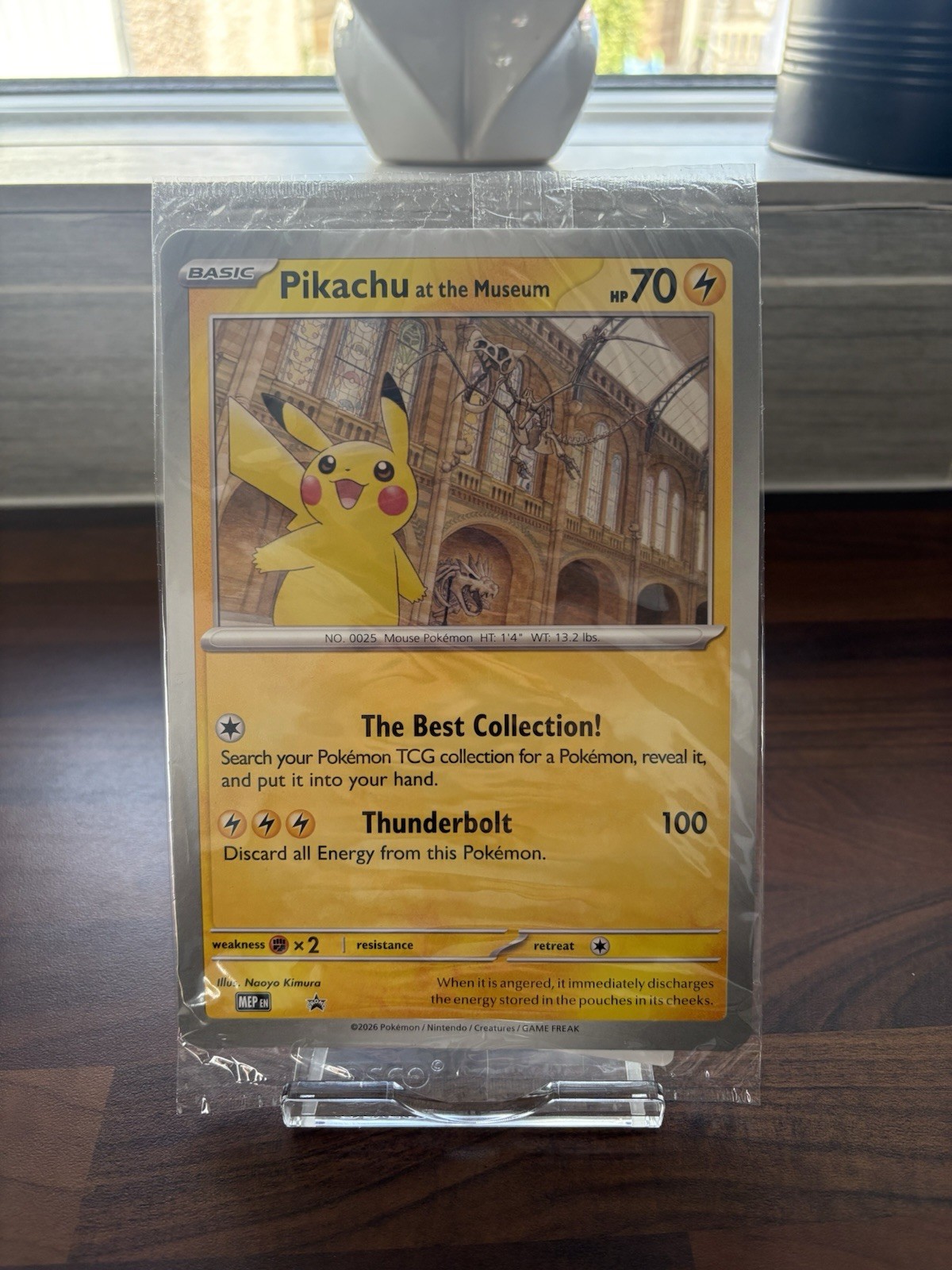 Pikachu at the Museum • Jumbo Cards • Promo