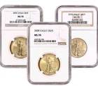 American Gold Eagle 1/2 oz $25 - NGC MS70 Random Date and Label