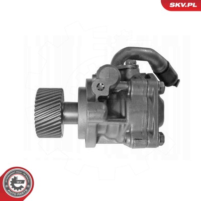 ESEN SKV 10SKV323 Hydraulikpumpe, Lenkung für FORD,MAZDA