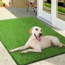 Artificial Grass Mat Turf Grass Front Door Mats Outdoor/Indoor Realistic Fake...