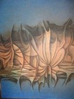 Bild 4 von 12