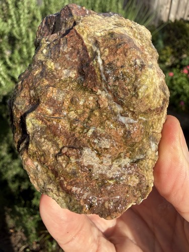 Uncut Thunderegg, Hauser Geode Beds. CA , 1 lb, 1.3oz, Lapidary