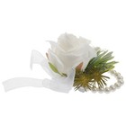 Foto 11 di 12