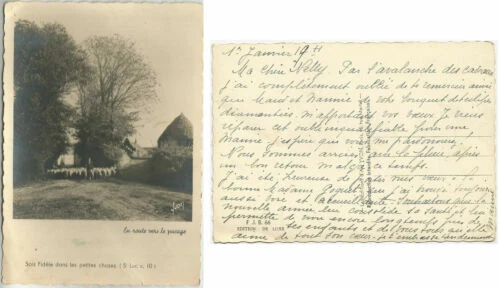 Cartes postales de collection sur la campagne et ses métiers campagne