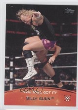 2015 Topps WWE Crowd Chants You Still Got It! Billy Gunn #9 0v7