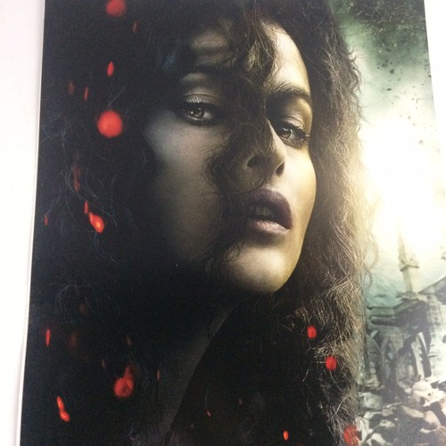 Harry Potter y las Reliquias de la Muerte Parte 2 exhibición de películas Hermione Bellatrix Standee - Imagen 7 de 9