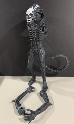 1979 ヴォギュエ　ミュジニー 1979 ヴォギュエ ミュジニー 1979 ヴォギュエ ミュジニー Dom. Comte