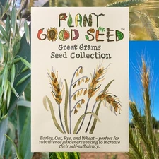 Great Grains Seed Collection For Planting, Easy to Grow, USA Grown, Non-GMO OG