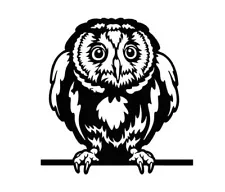 Owl Peeking - Black Vinyl Graphic Decal Car Truck Windows Laptop Notebook