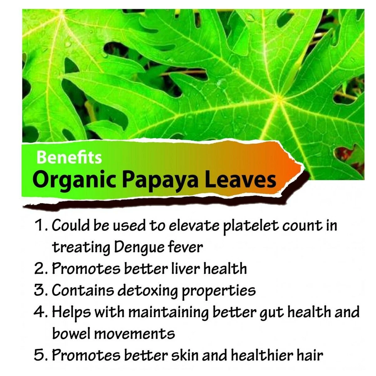 Papaya leaves powder benefits cheap