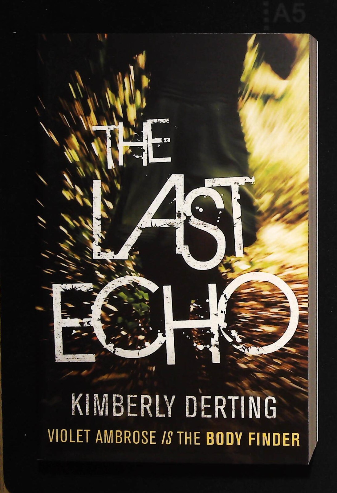 Kimberly Derting The Last Echo (Body Finder Book 3) NEW Paperback