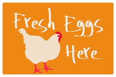 Frische Eier hier, lustiges modernes neues Blechschild, Plakette, Huhn, Henne in Orange
