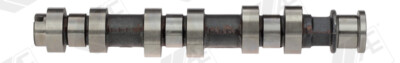 AE CAM809 Camshaft for Opel, Suzuki, Vauxhall