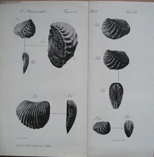Russian mineralogy. 8 books. Notes of the Imperial St. Petersburg Mineralogical - Picture 5 of 10