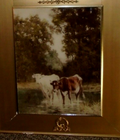 Picture 6 of 10