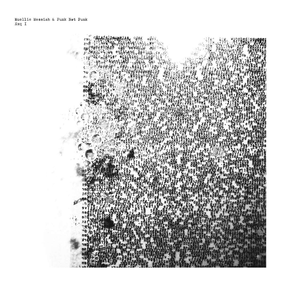 Muellie Messiah & Punk Not Punk Exq I (Vinyl LP)