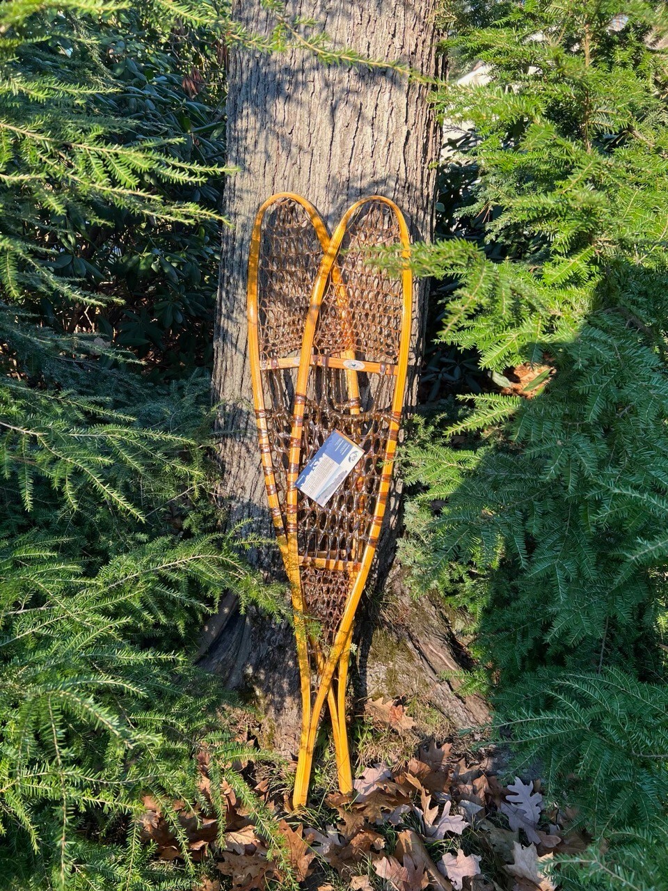 GV Snowshoes Alaskan Snowshoes, 10x56 Made in Canada eBay