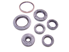 Gilera Runner DNA Typhoon Stalker 50 SIMMERINGE WELLENDICHTRINGE MOTOR SIMMERING