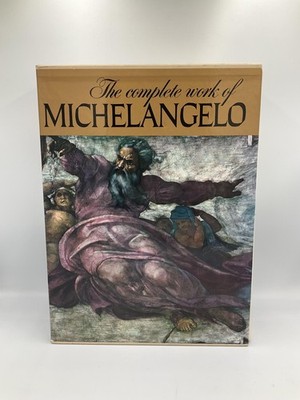 Vintage The Complete Work Of Michelangelo Mario Salmi Reynal Tan HC DJ Japan Art