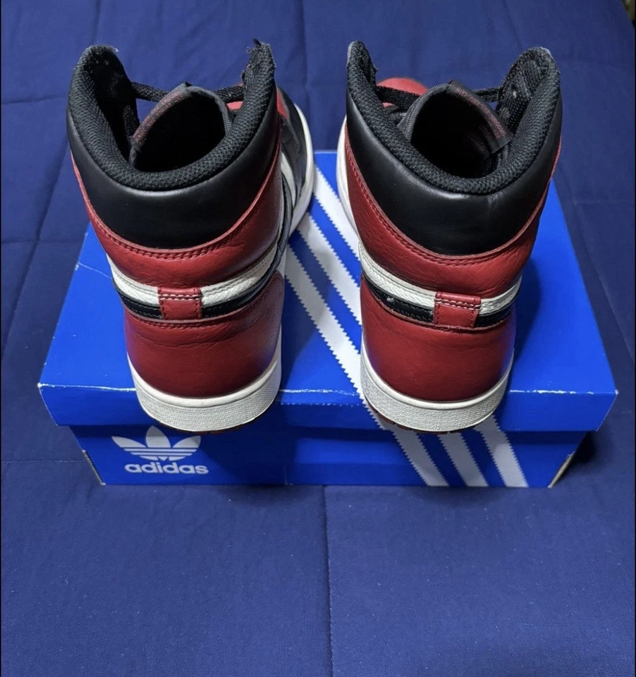 Talla 10 - Jordan 1 Retro OG High Bred Toe 2018 Foto 4 de 4