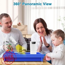 Blue Turtle Tank Aquarium Basking Platform Feeding Swim