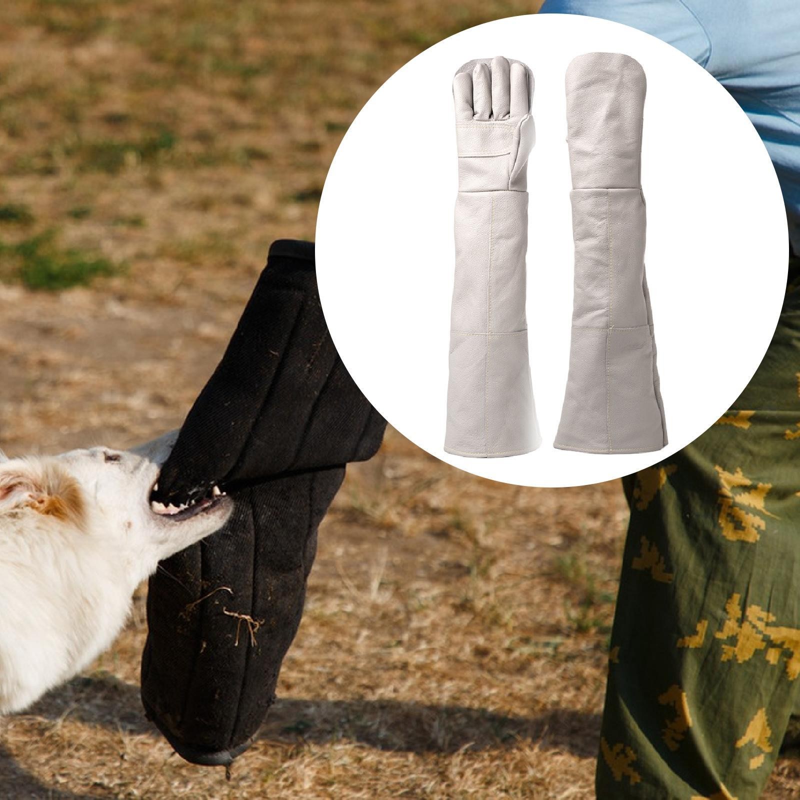 Animal Handling Gloves Multiuse 60cm Extra Long for Birds Snake Animals