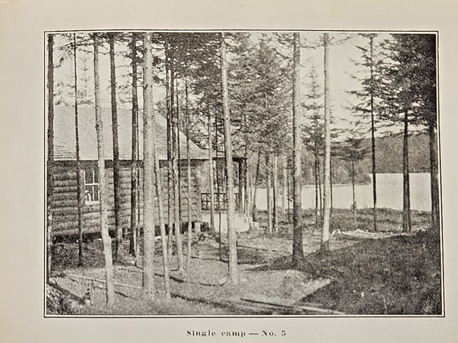 Foto 12 di 17