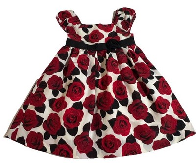 Fancy Valentines Red Roses Bow Tule Fancy Dress/Roses/Bow Camilla 3T Special Occ