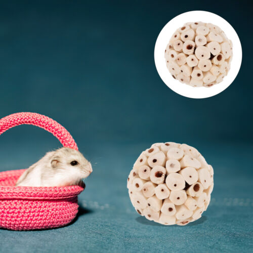 6Pcs Bird Chewing Toy Parrot Foraging Toys Chewing Toys for Budgie Parakeet UK - Picture 6 of 12