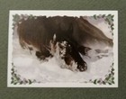 Foto 113 di 134