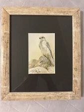 Original Gamini Ratnavira Falcón In WC