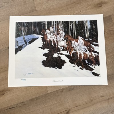 Judy Larson Phantom Patrol Horse Lithograph Art Print - Publisher