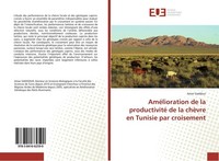 AméLioration De La Productivité De La ChèVre En Tunisie Par Croisement Amor Gadd