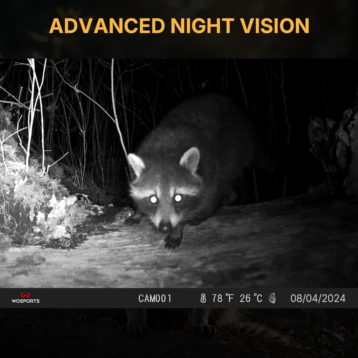 Slide 6