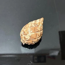 Hagi-yaki pine nut incense bowl, tea bowl, kaiseki tea box, Hounsai Zabosai,